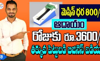 Low investment business ideas 2021 in telugu